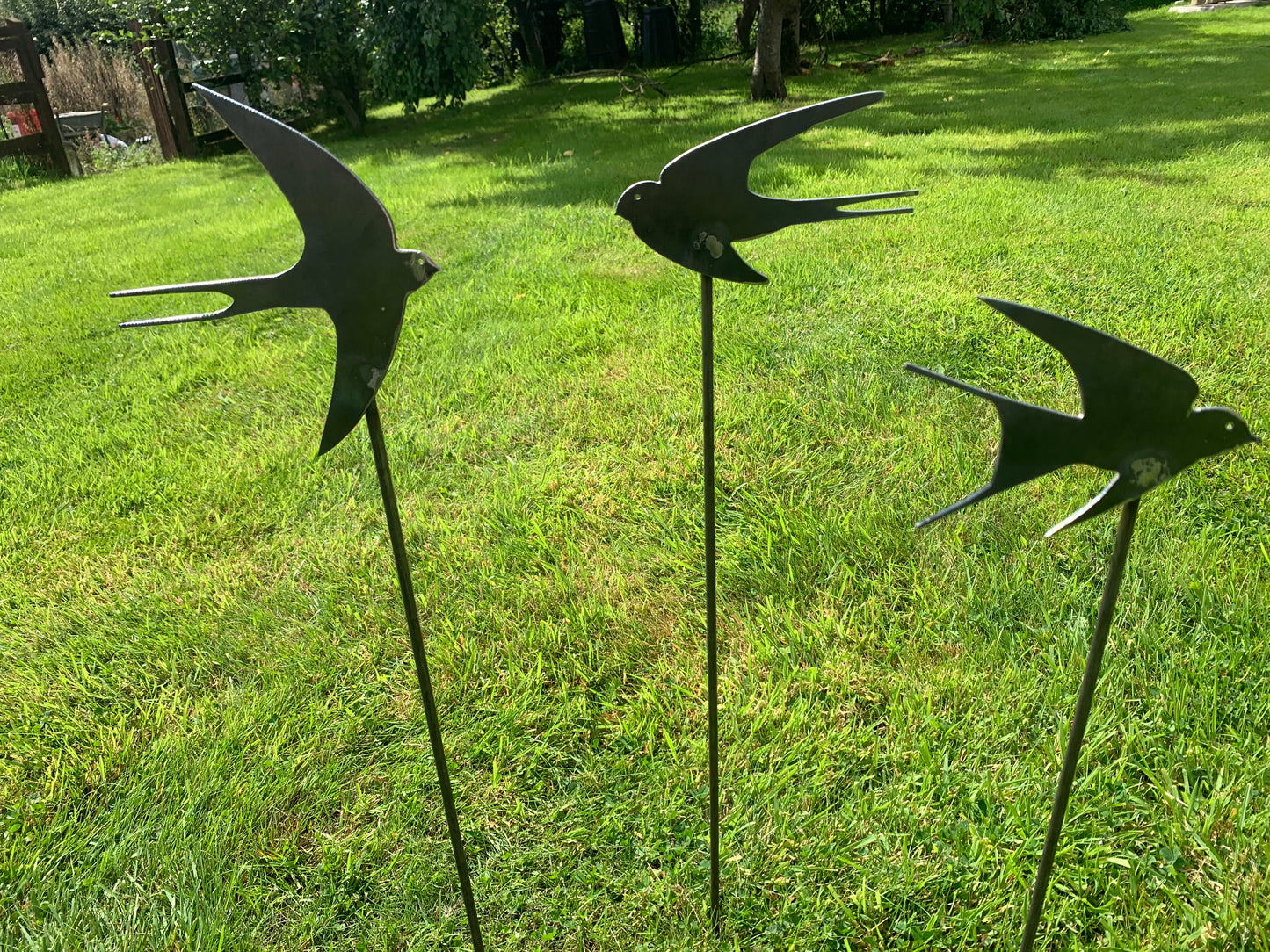 Swallows - Set of Three