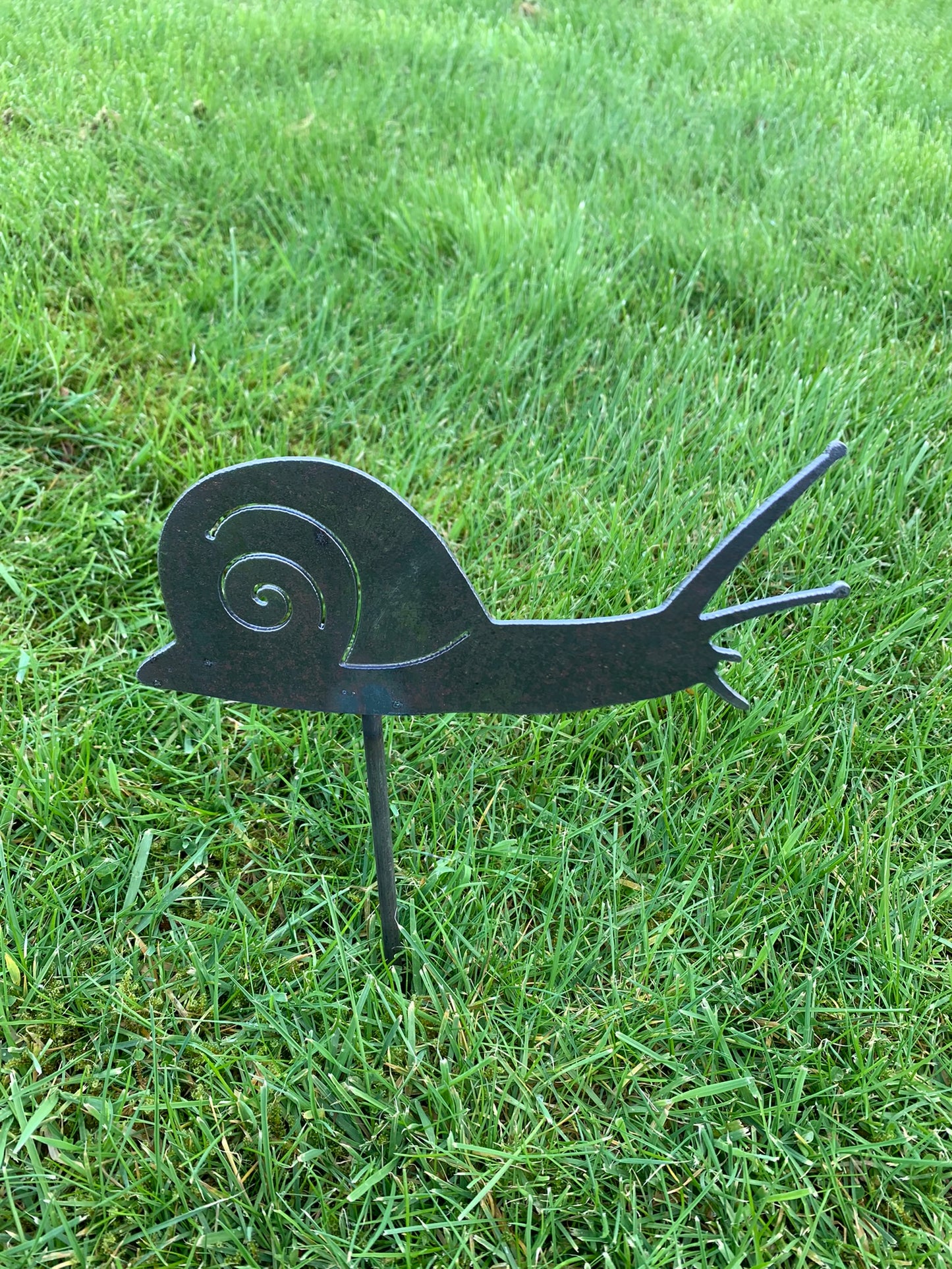 Snail