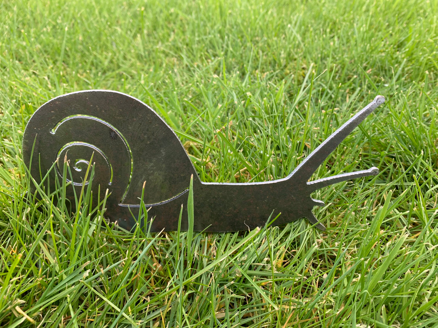 Snail
