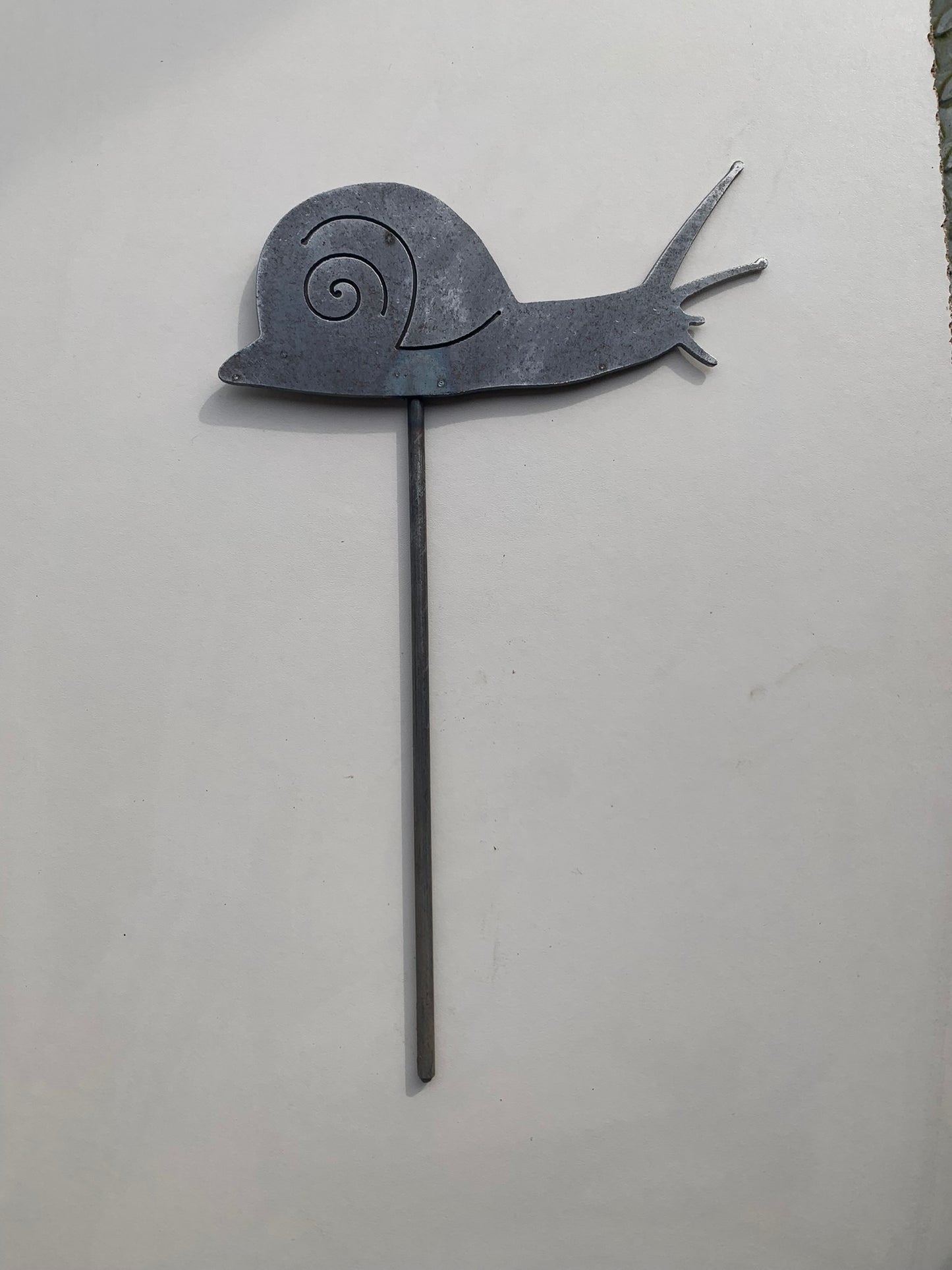 Snail