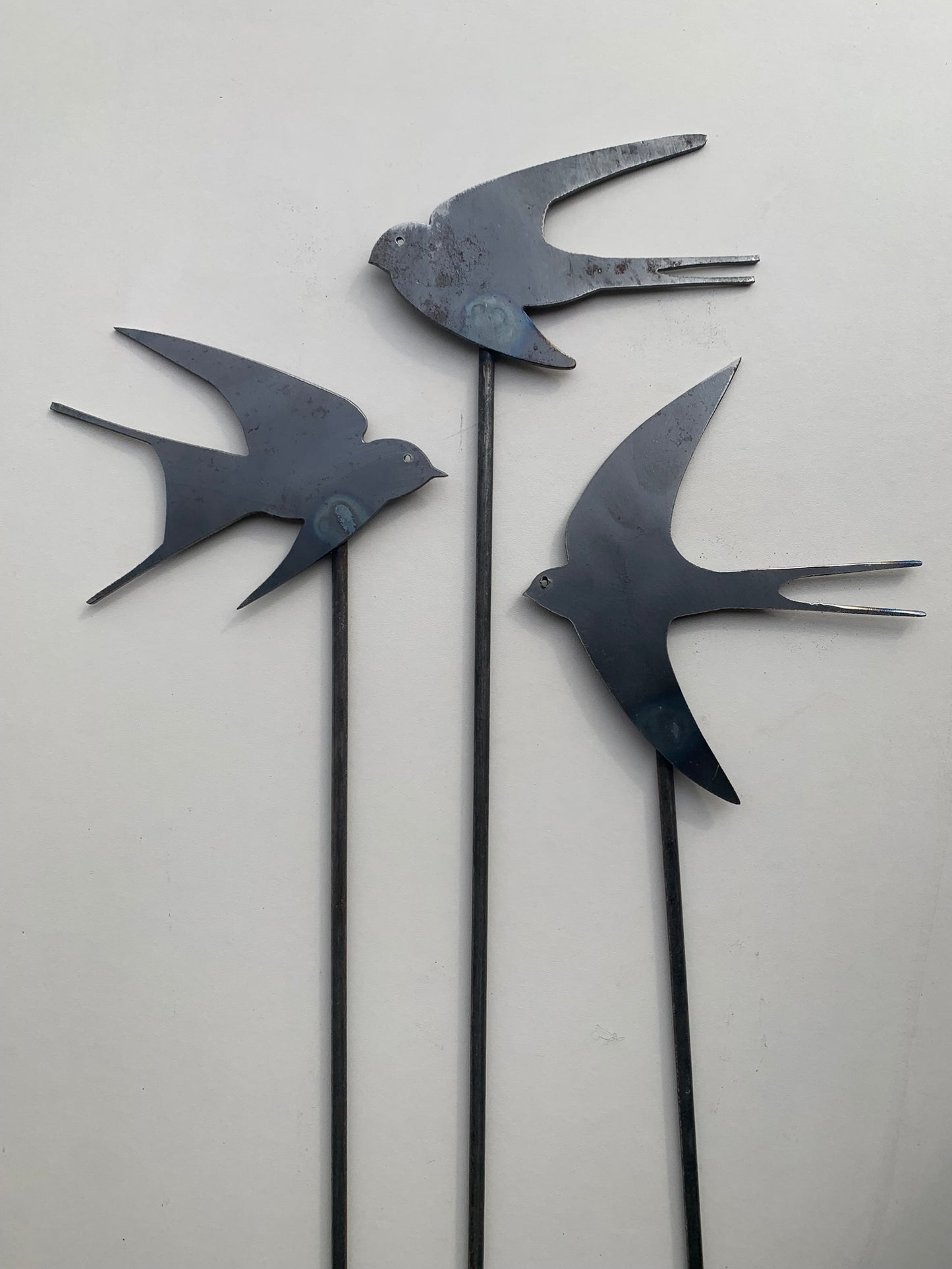 Swallows - Set of Three