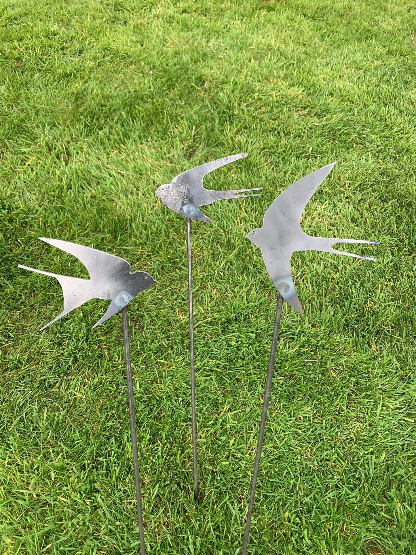 Swallows - Set of Three