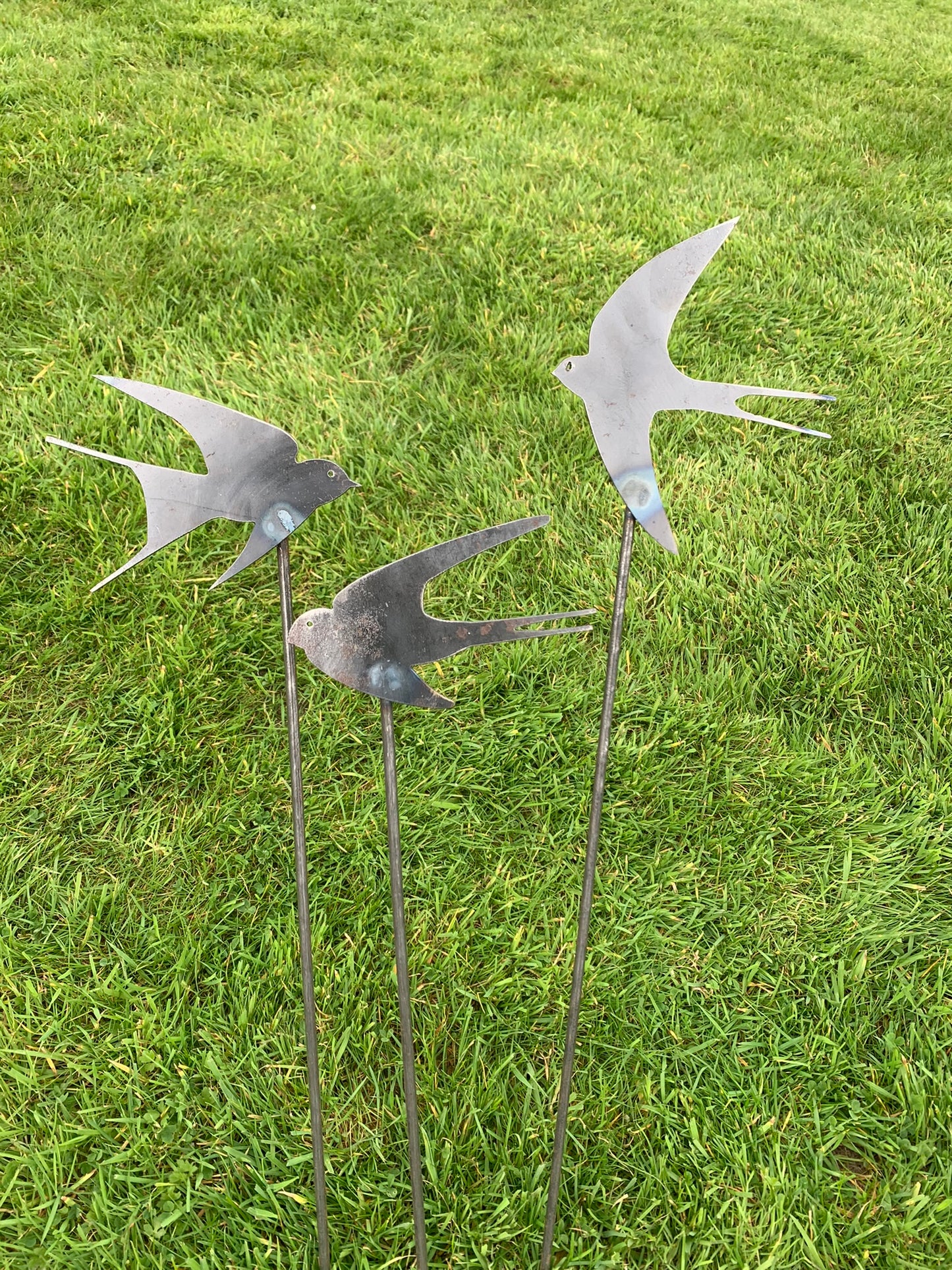 Swallows - Set of Three