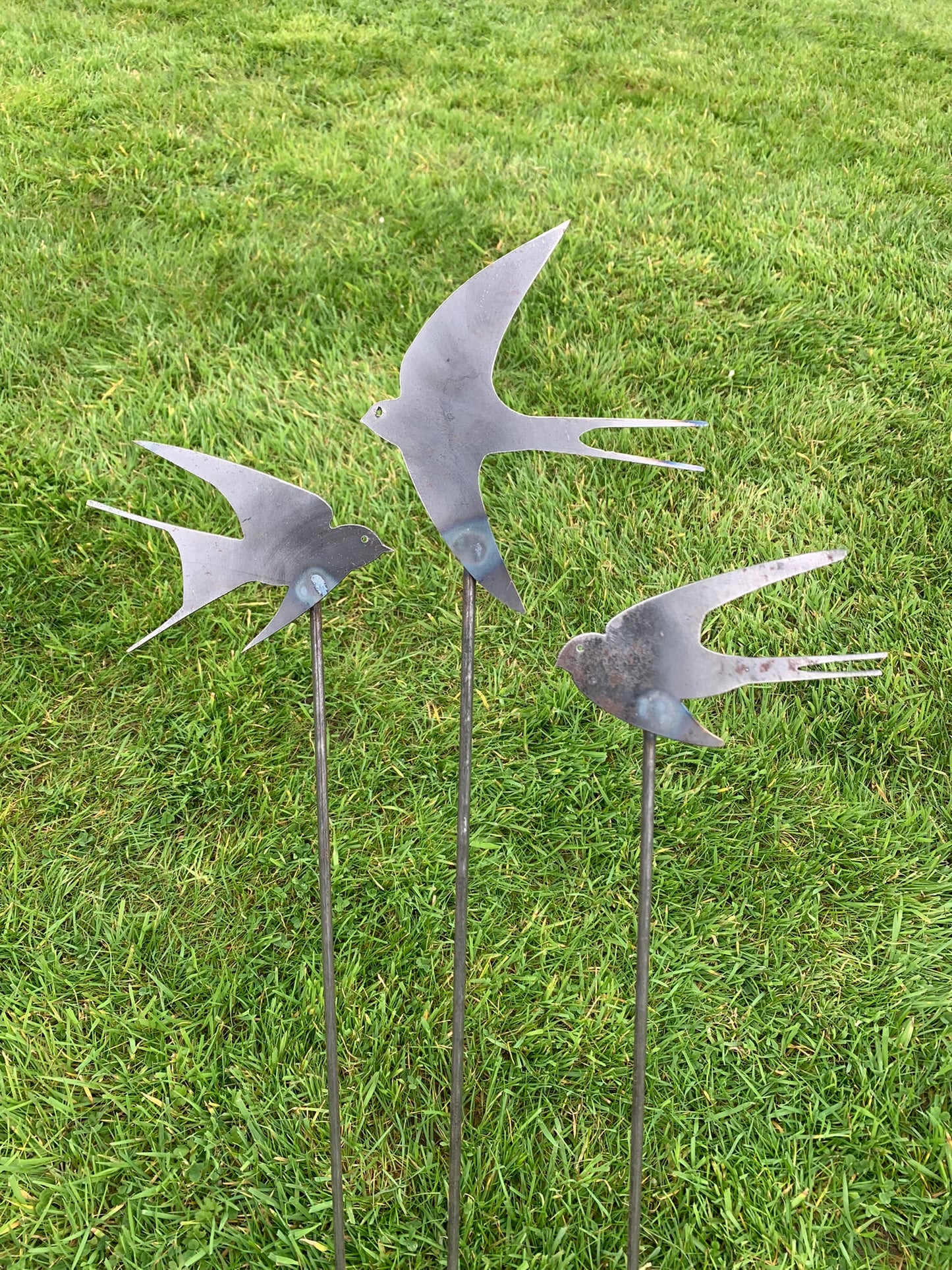 Swallows - Set of Three
