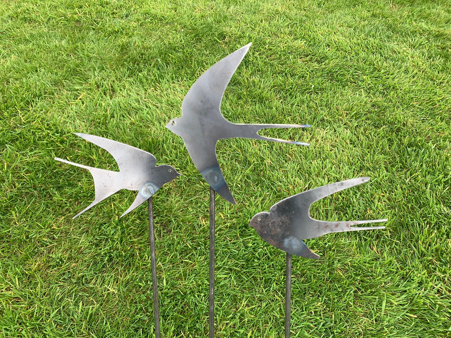 Swallows - Set of Three