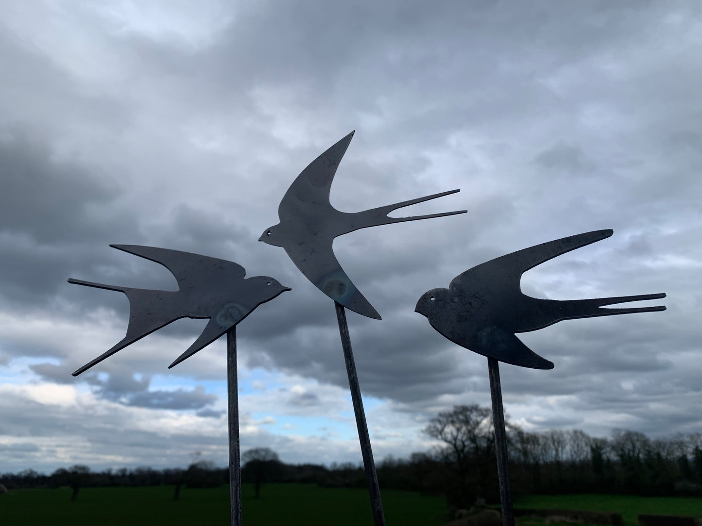 Swallows - Set of Three
