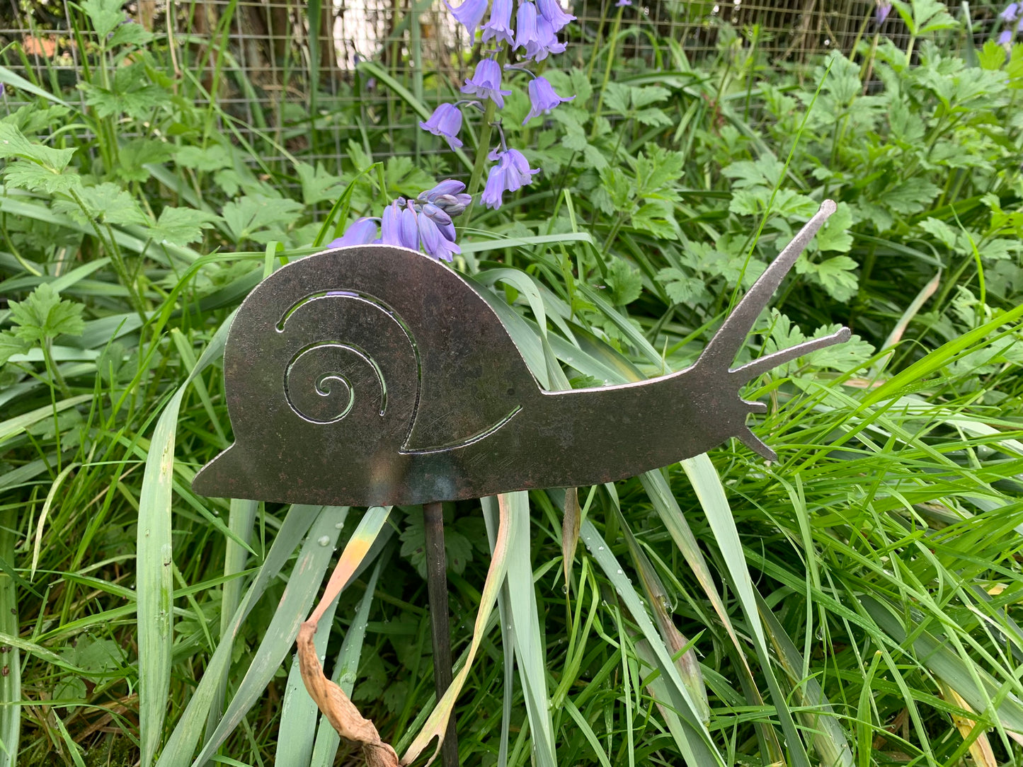 Snail