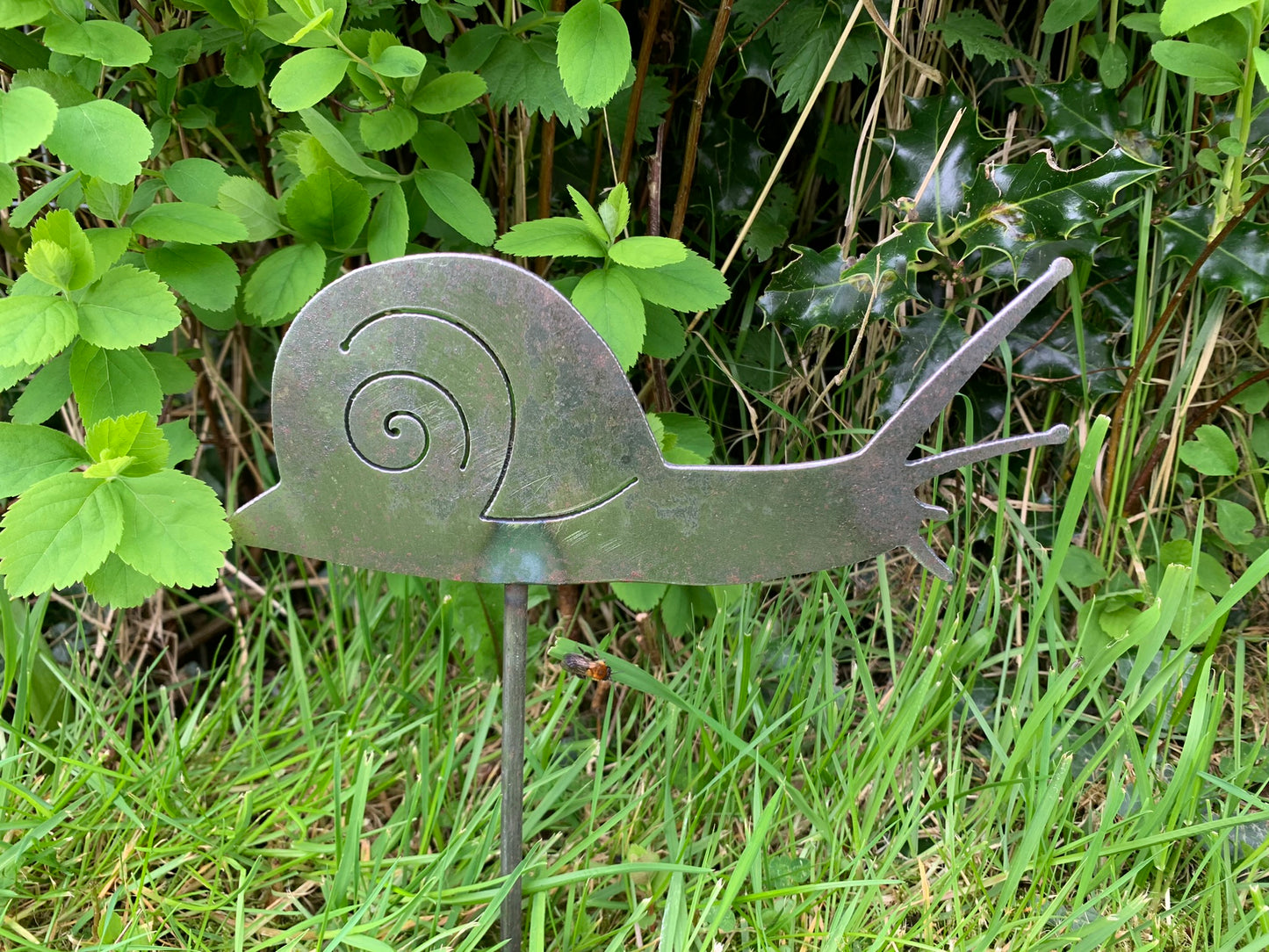 Snail