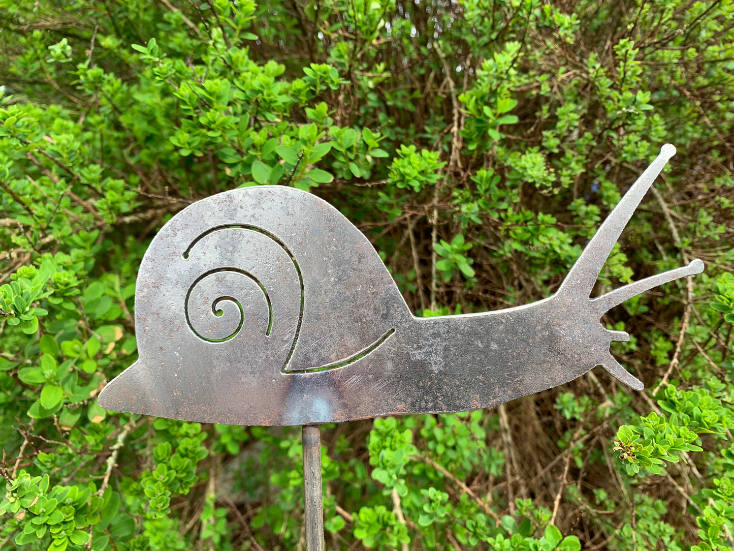 Snail