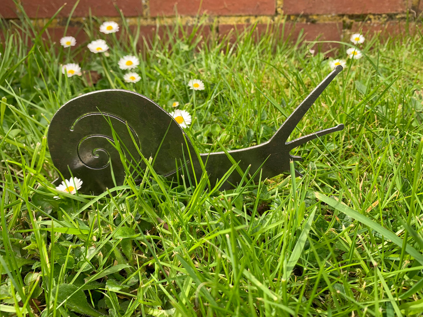 Snail