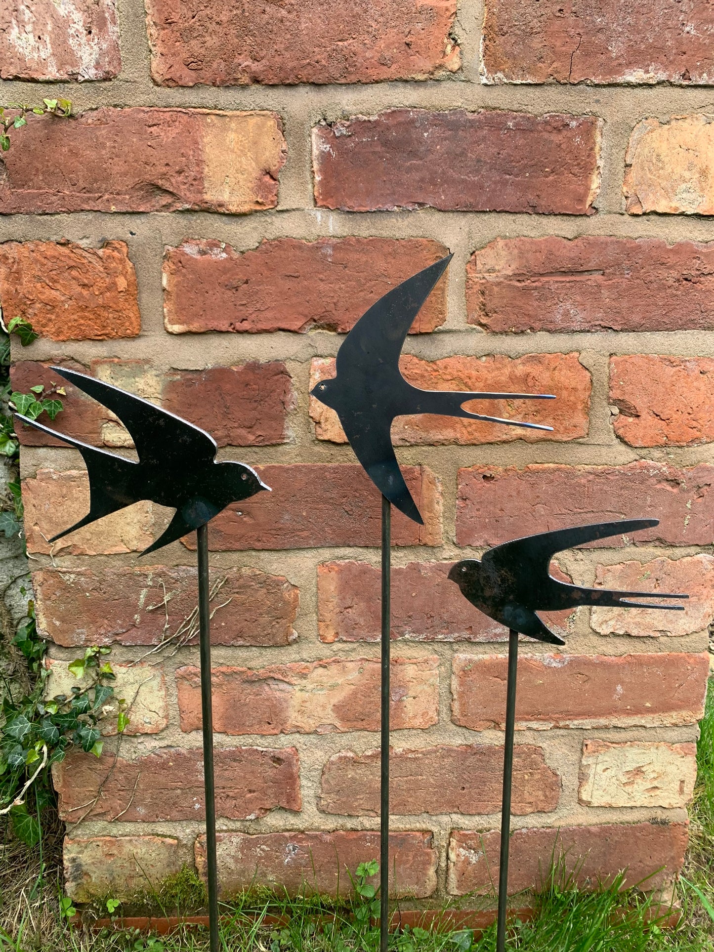 Swallows - Set of Three