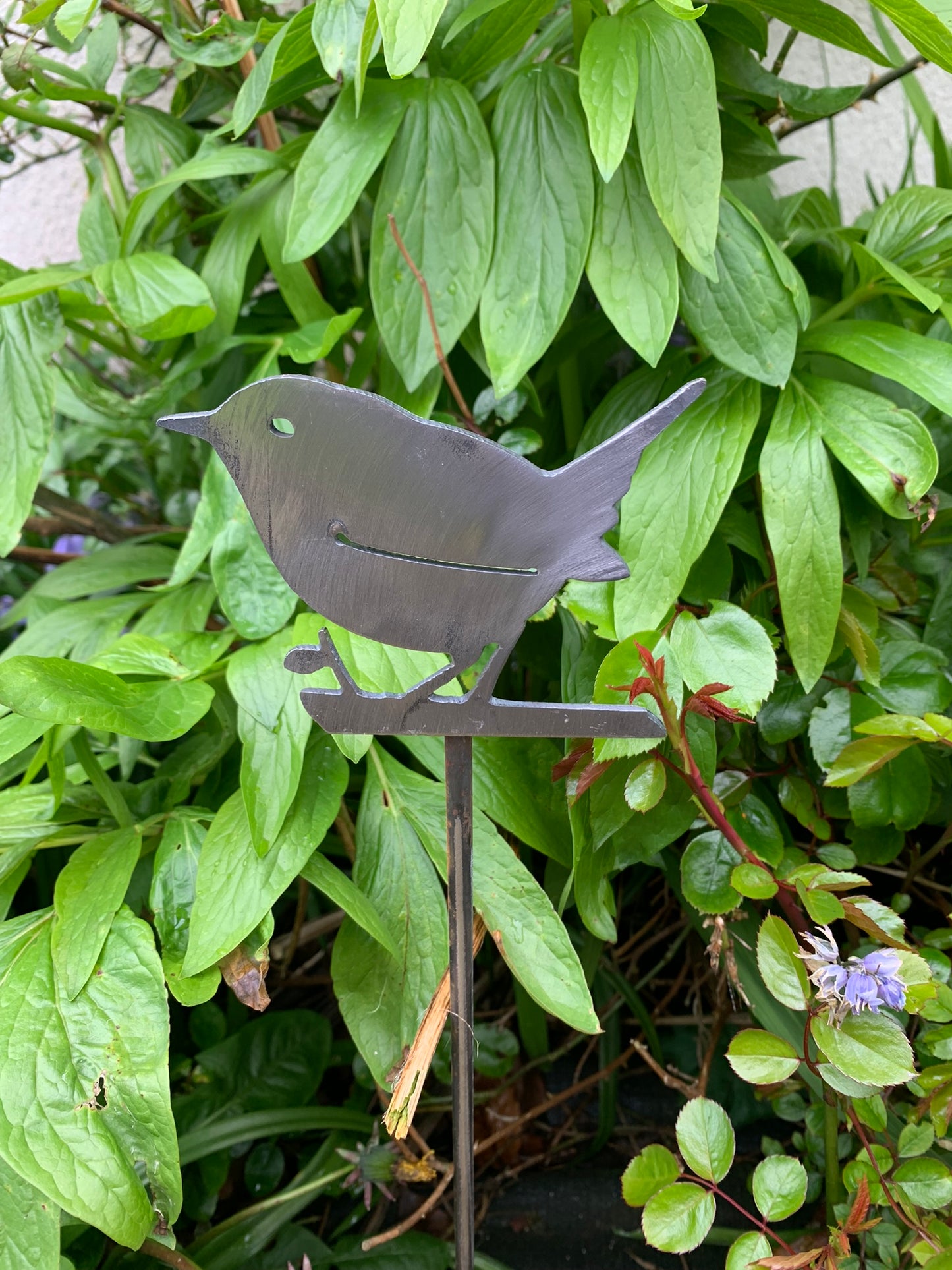 Wren on a stake