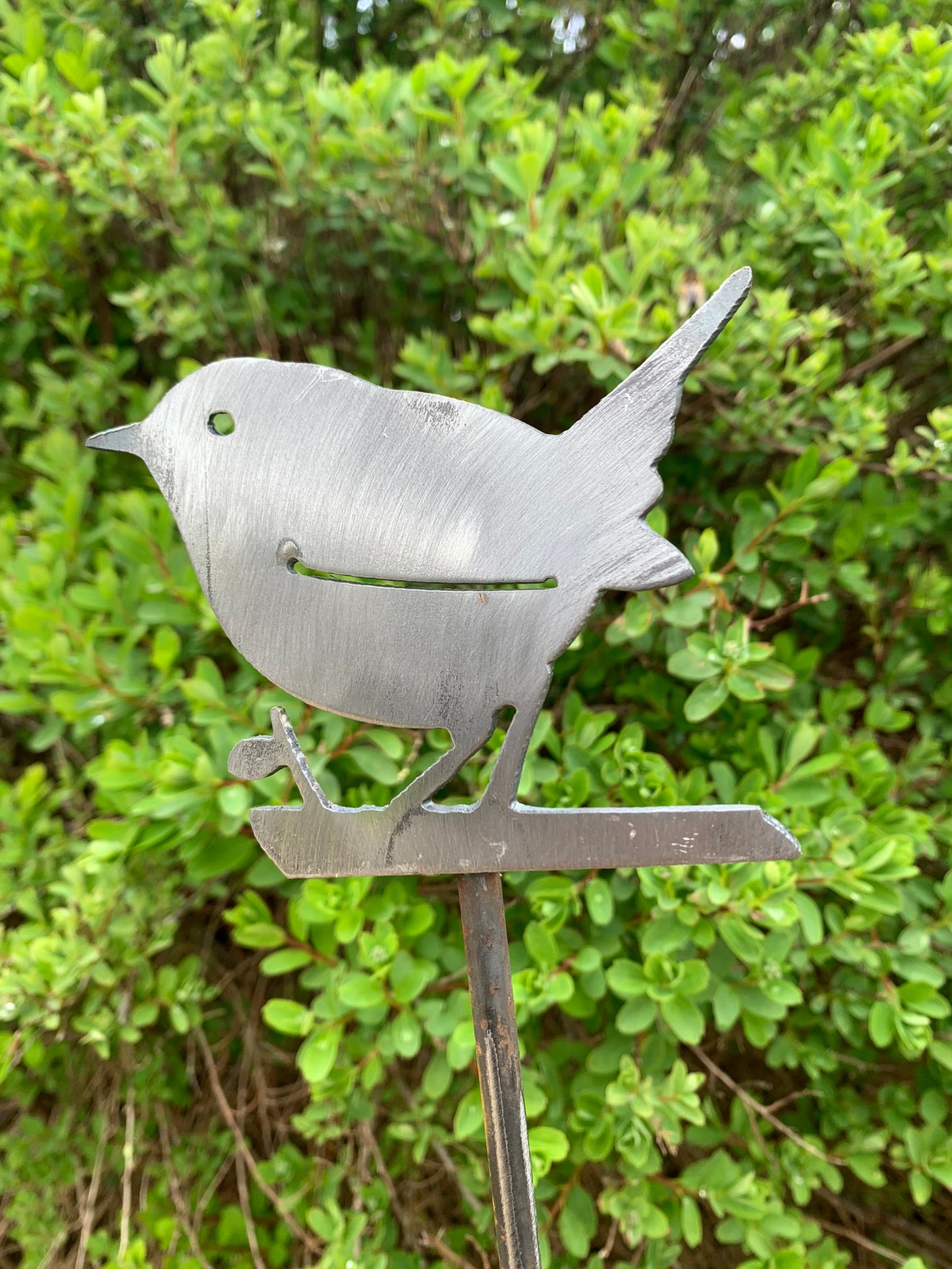 Wren on a stake