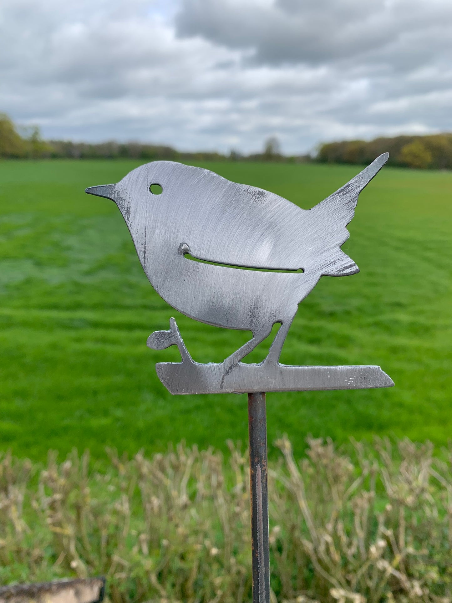 Wren on a stake