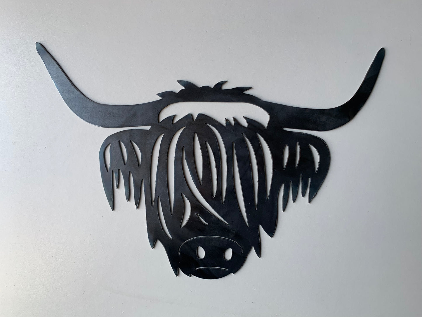 Highland Cow