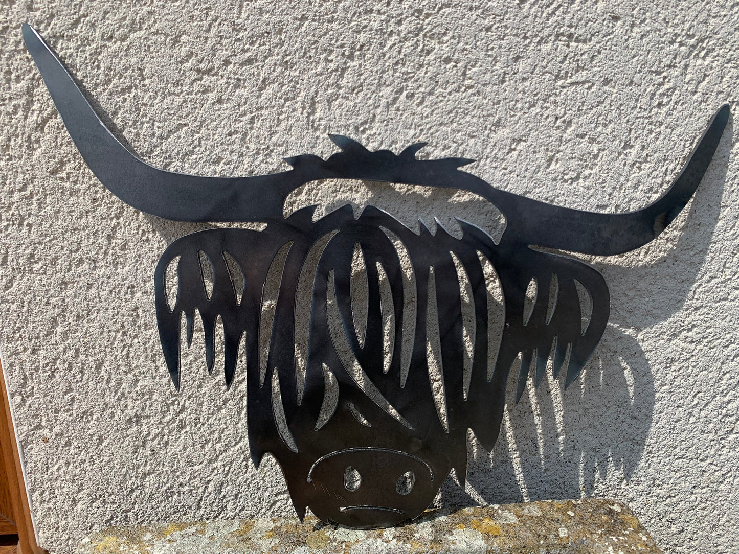 Highland Cow