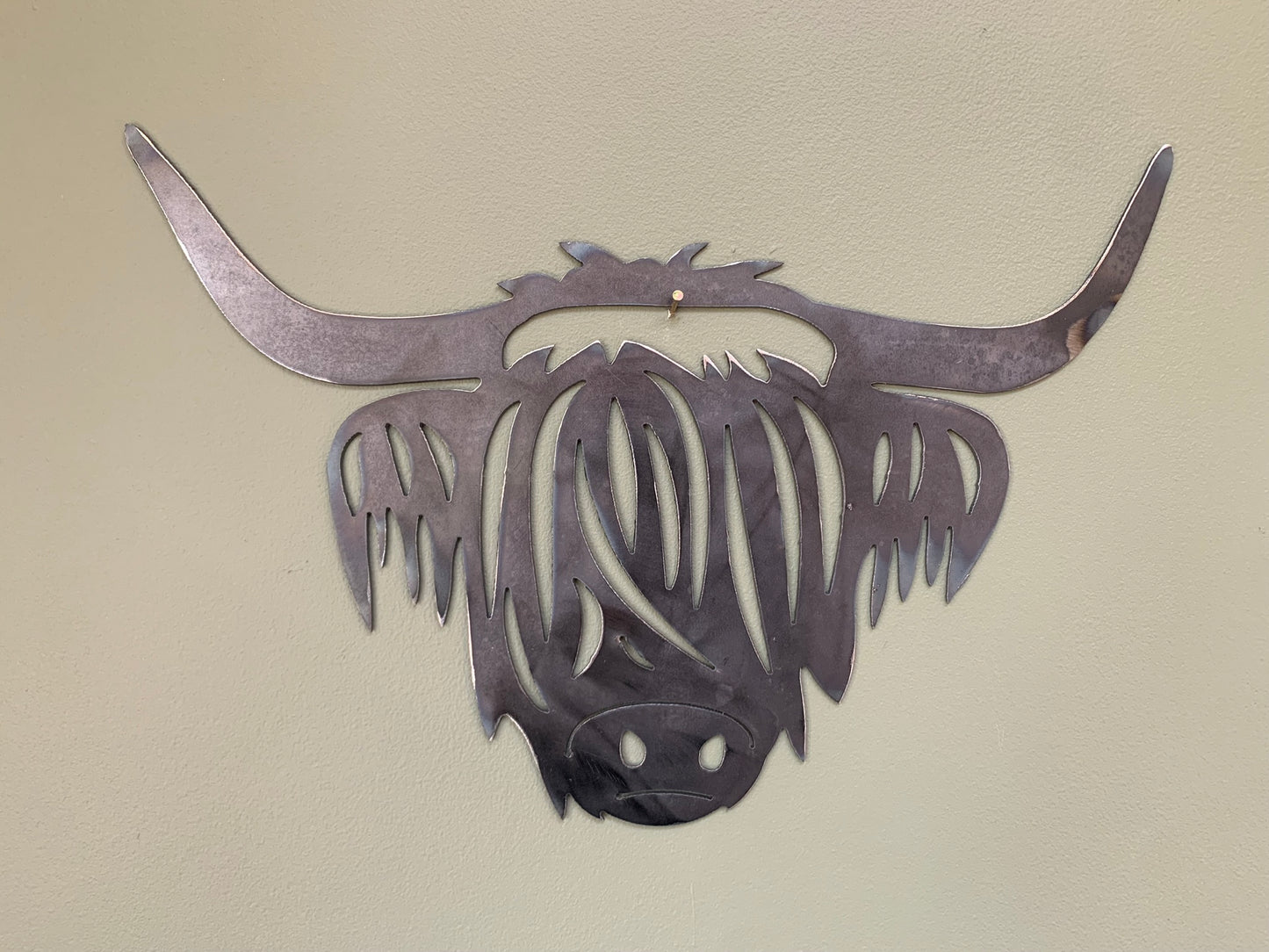 Highland Cow