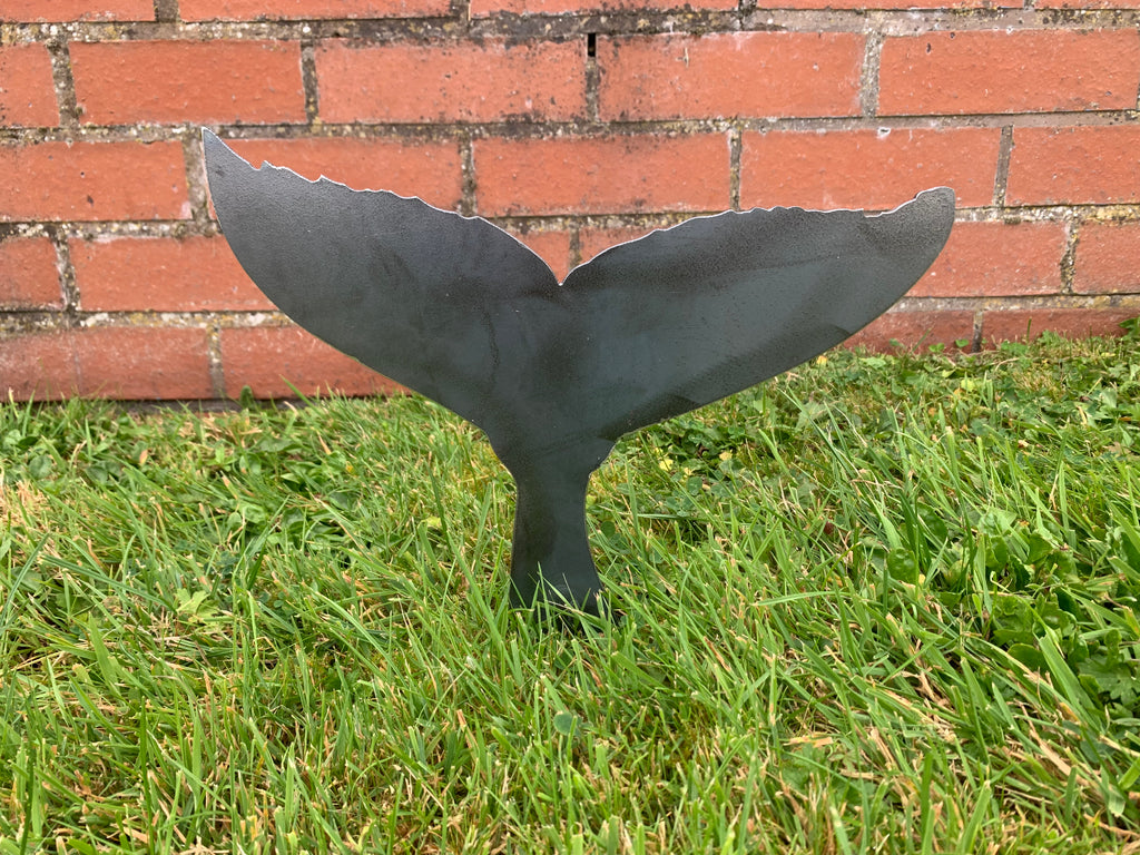 Whale Tail