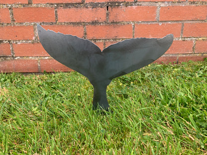 Whale Tail