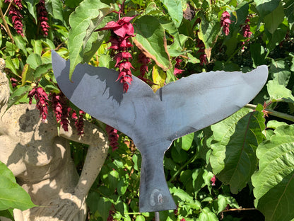 Whale Tail