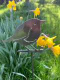 Robin Garden Stake