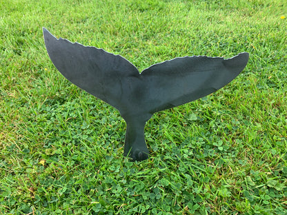 Whale Tail
