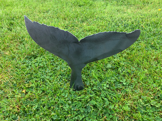 Whale Tail