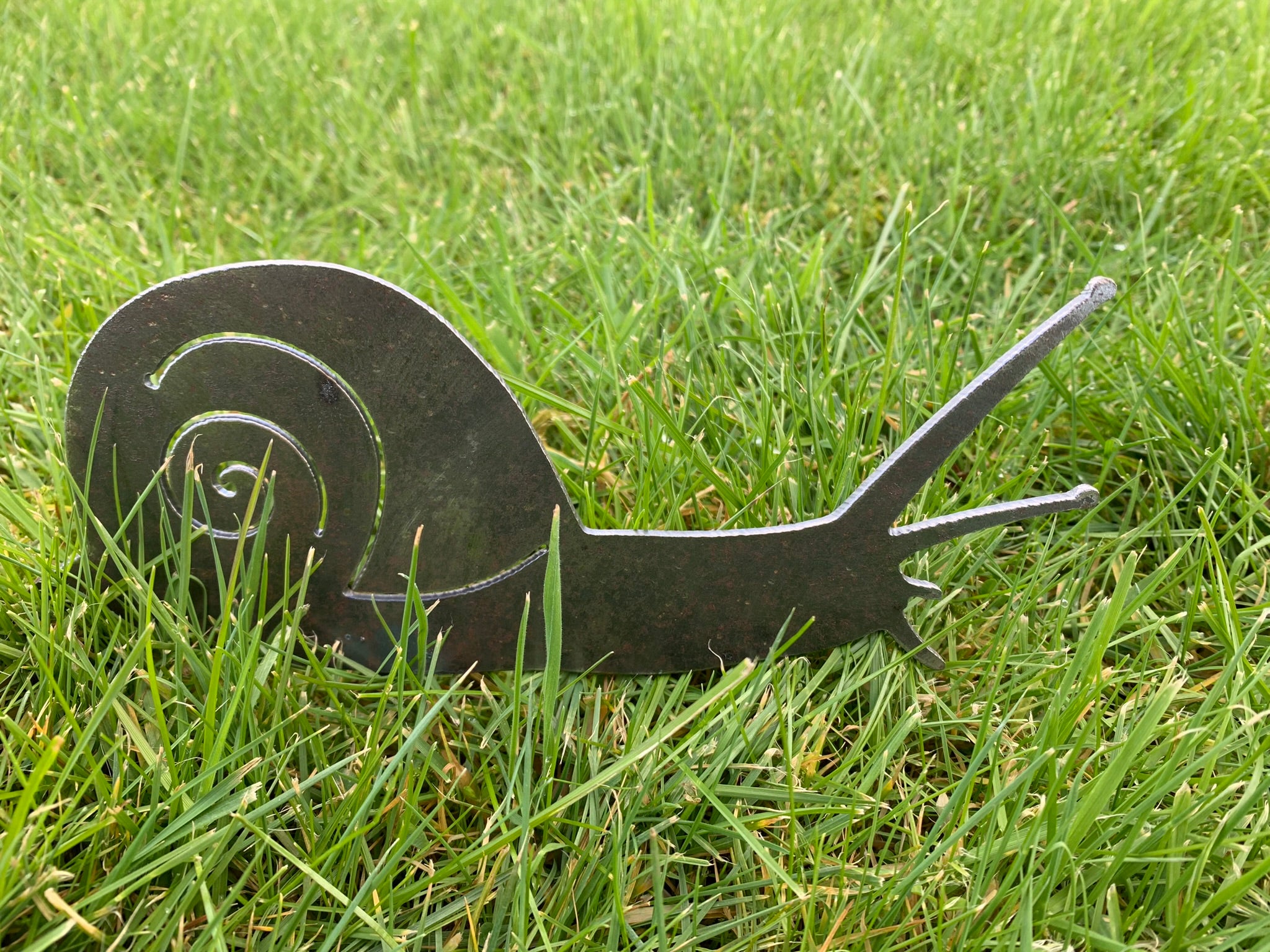 Snail
