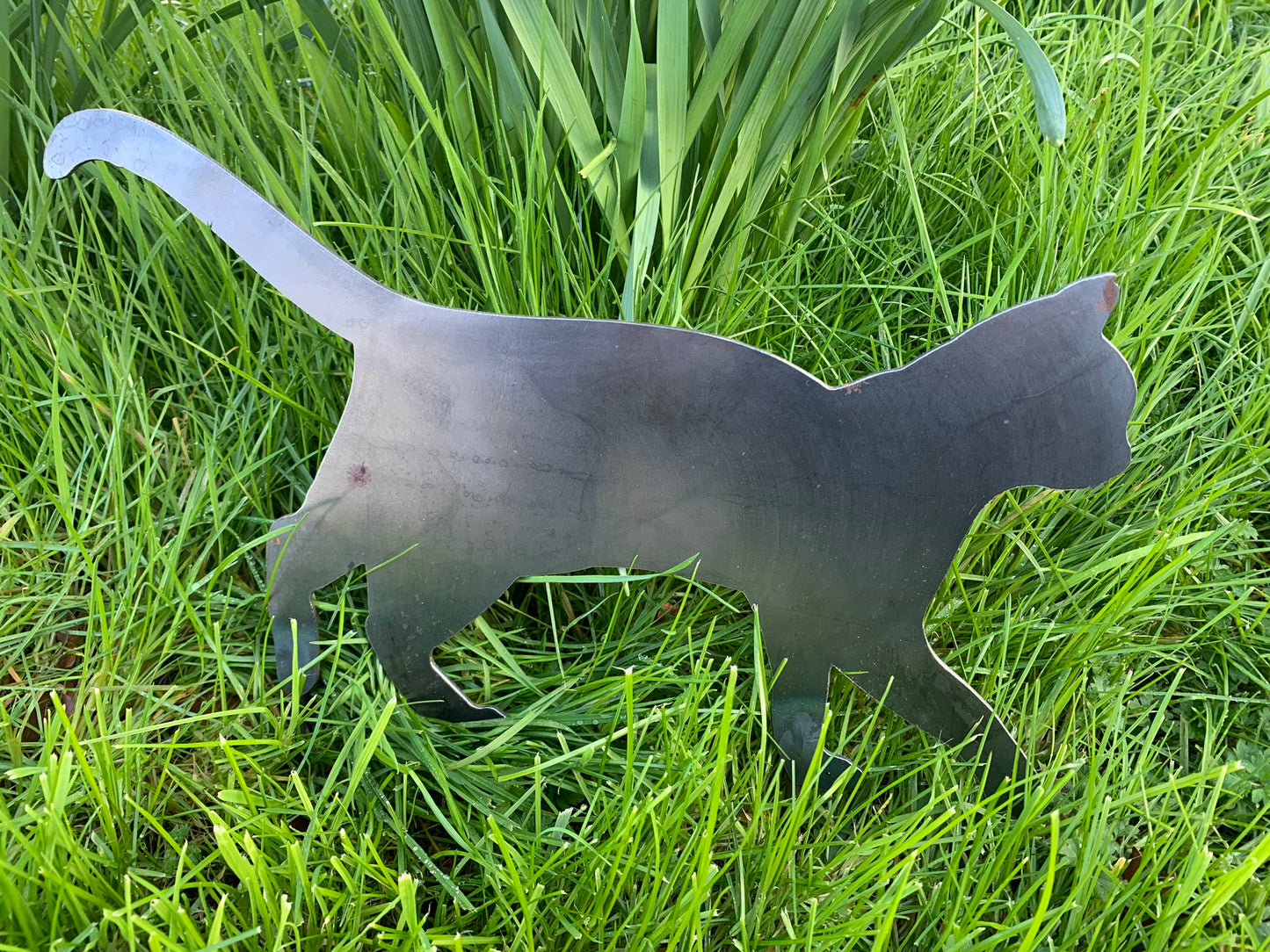 Metal Cat