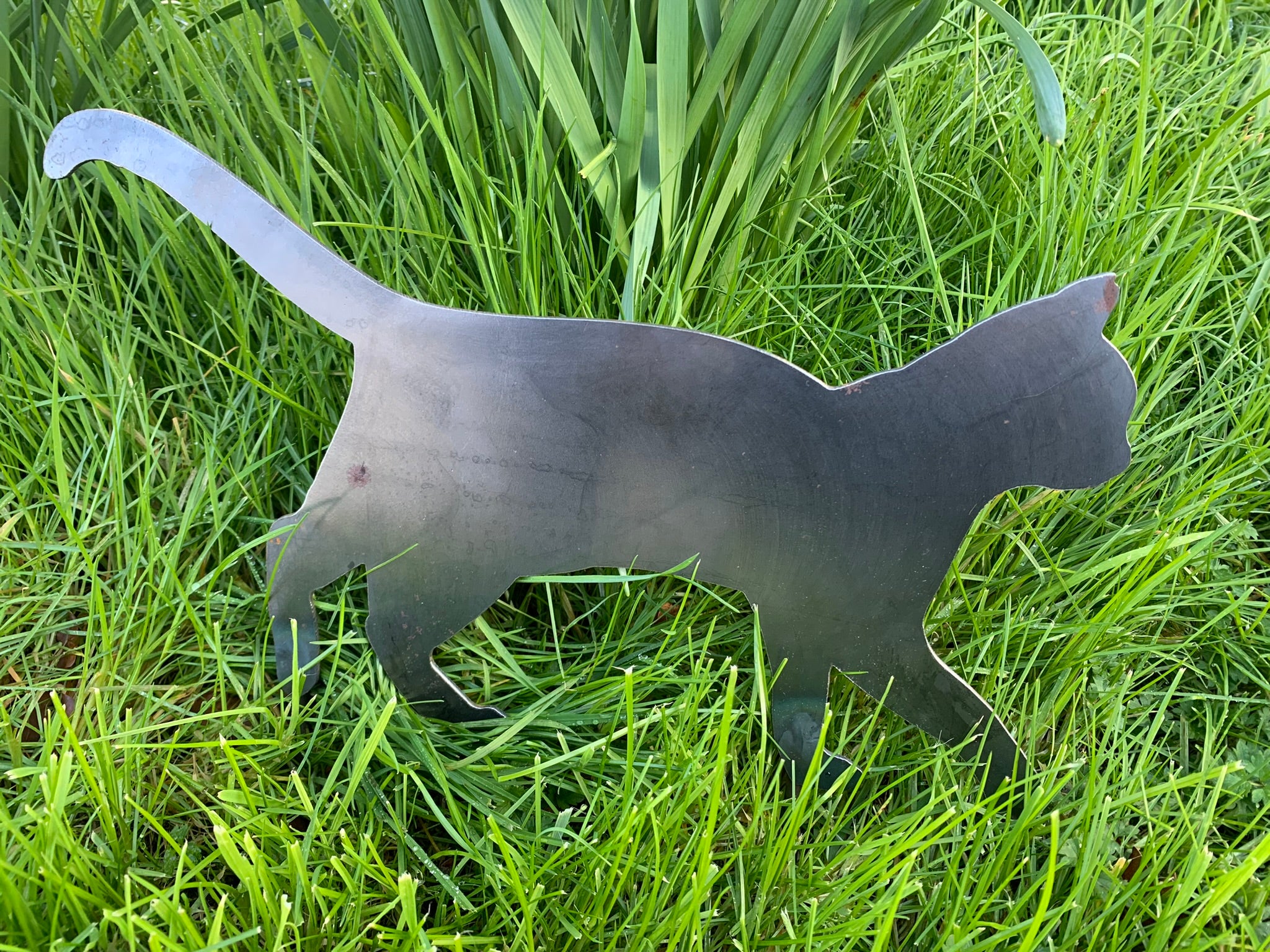 Metal Cat