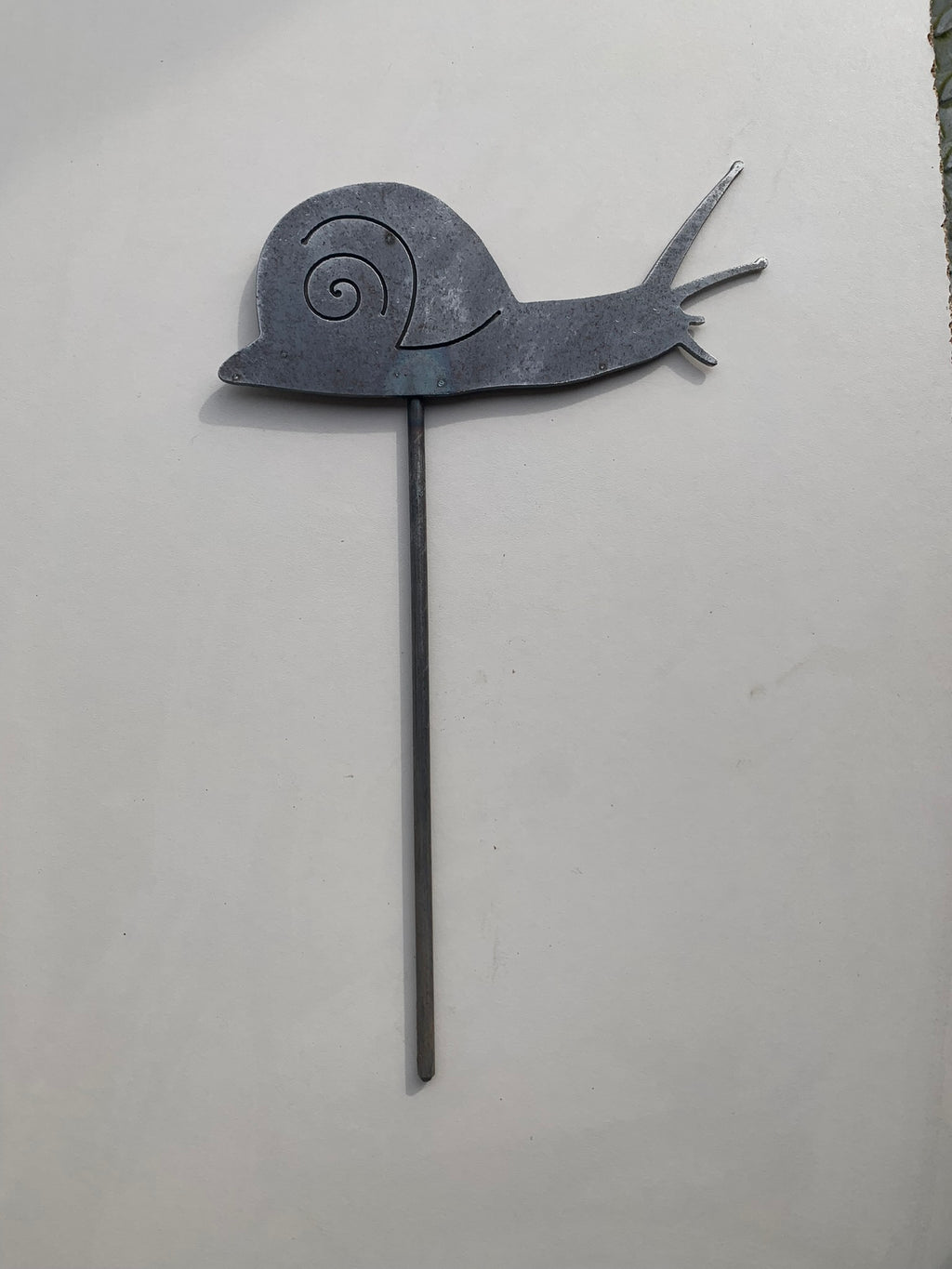 Snail