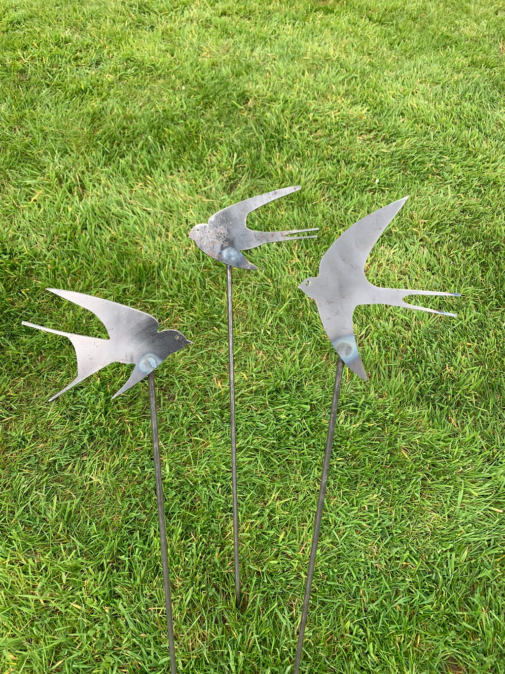 Swallows - Set of Three