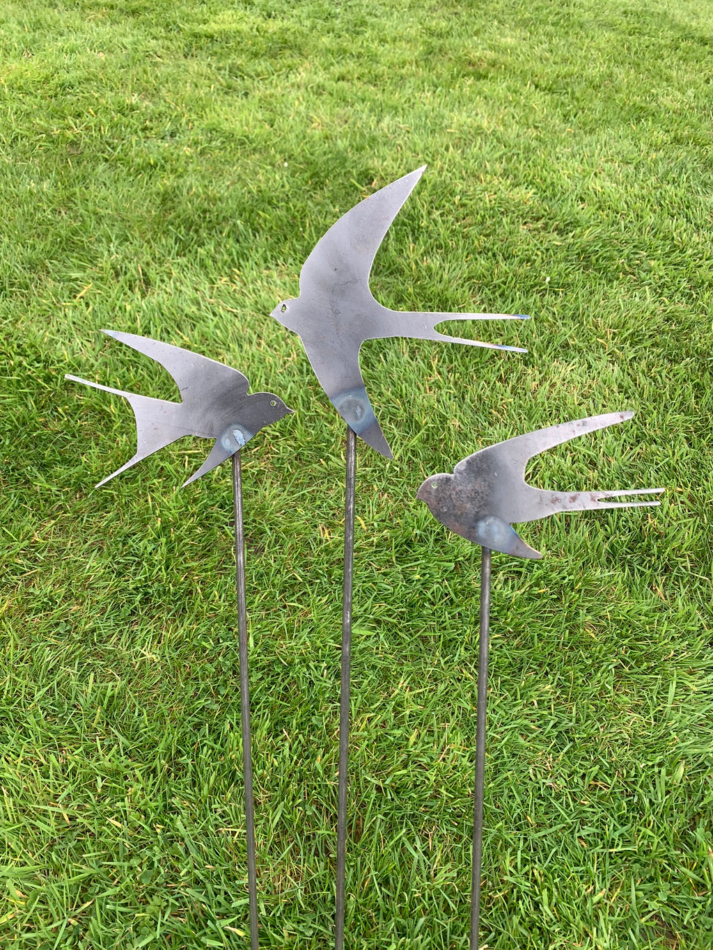 Swallows - Set of Three