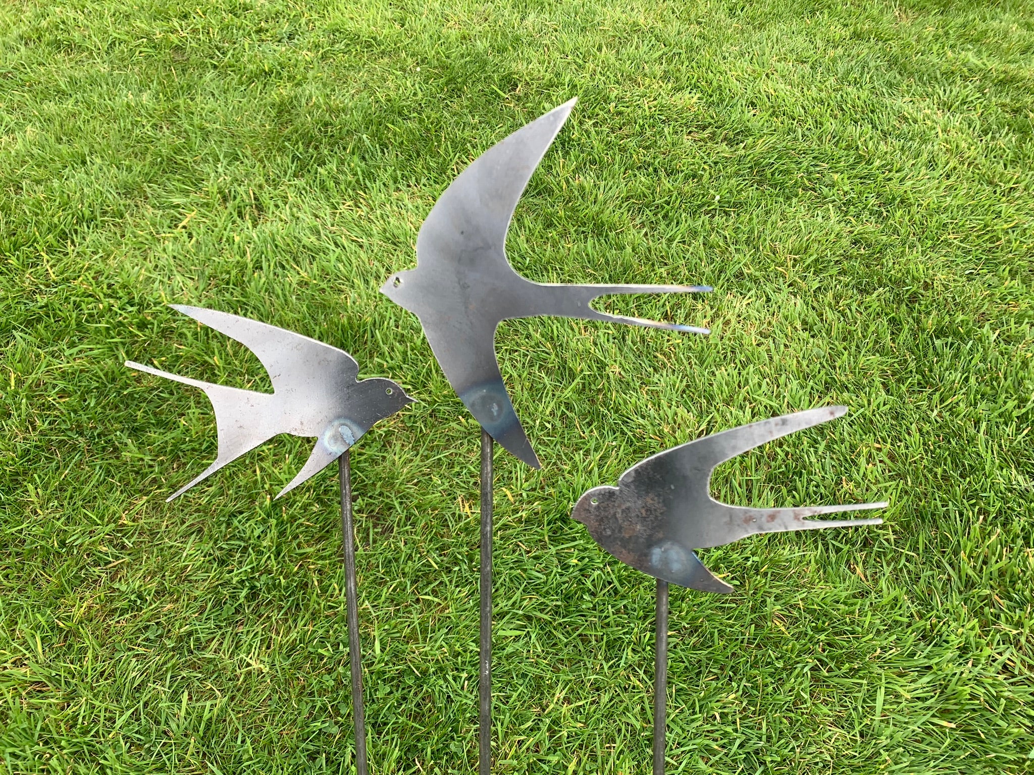 Swallows - Set of Three