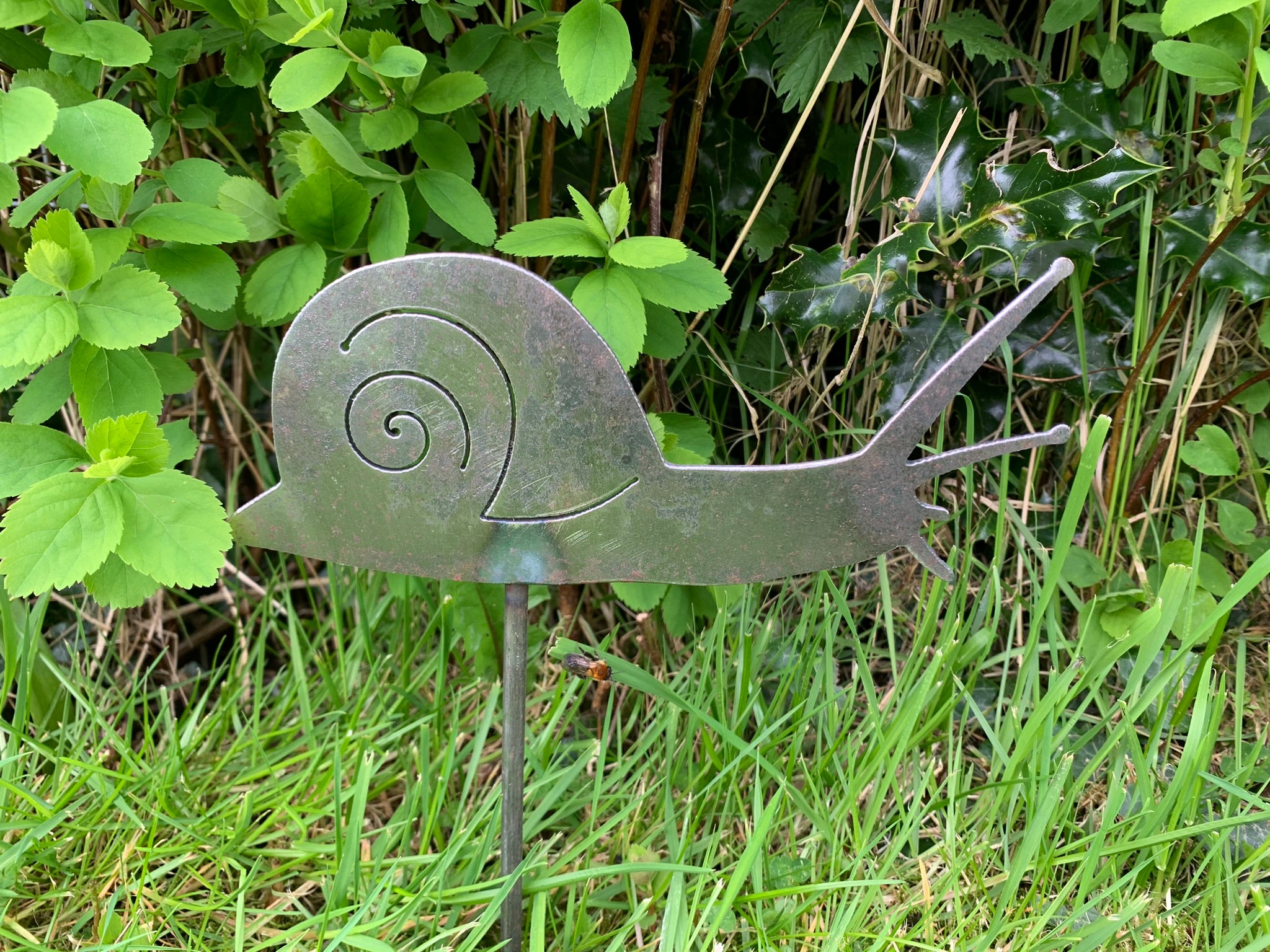 Snail