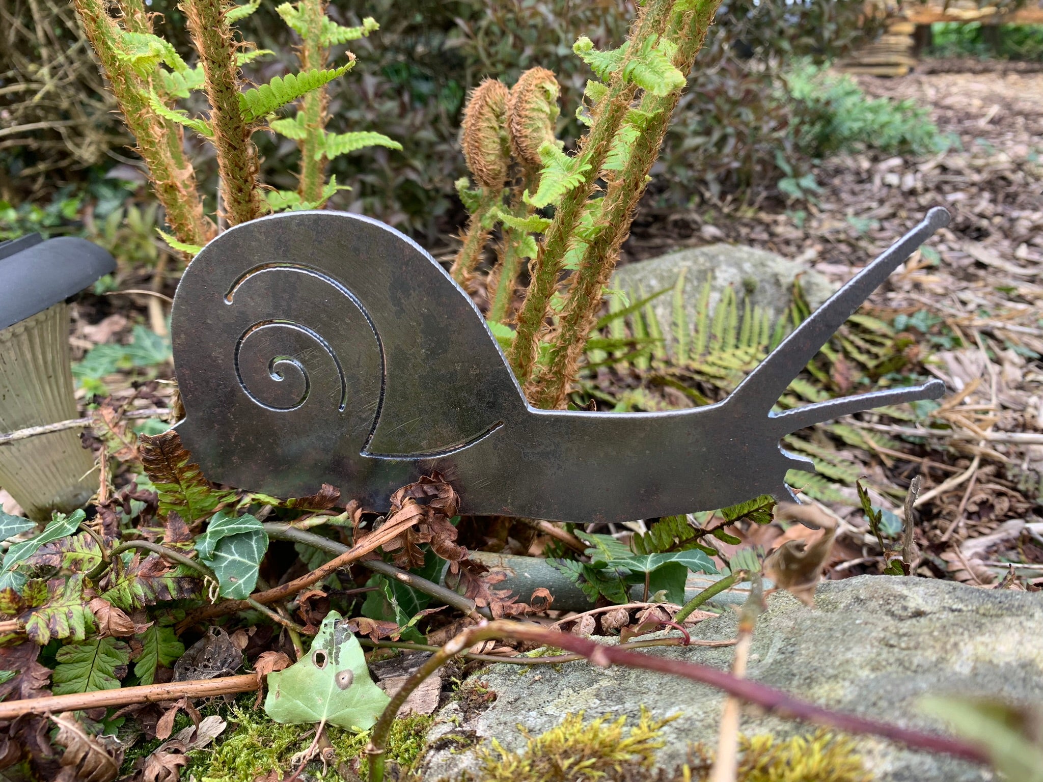 Snail