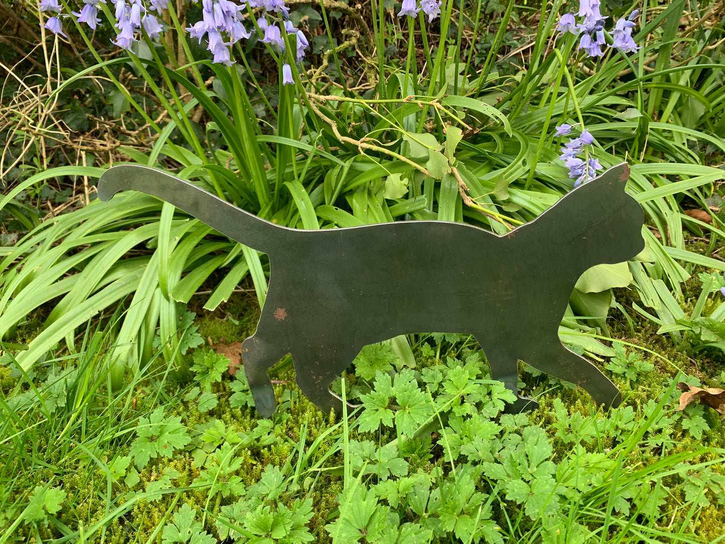 Metal Cat
