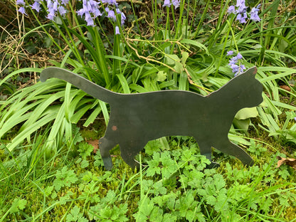 Metal Cat