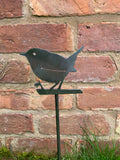 Wren on a stake
