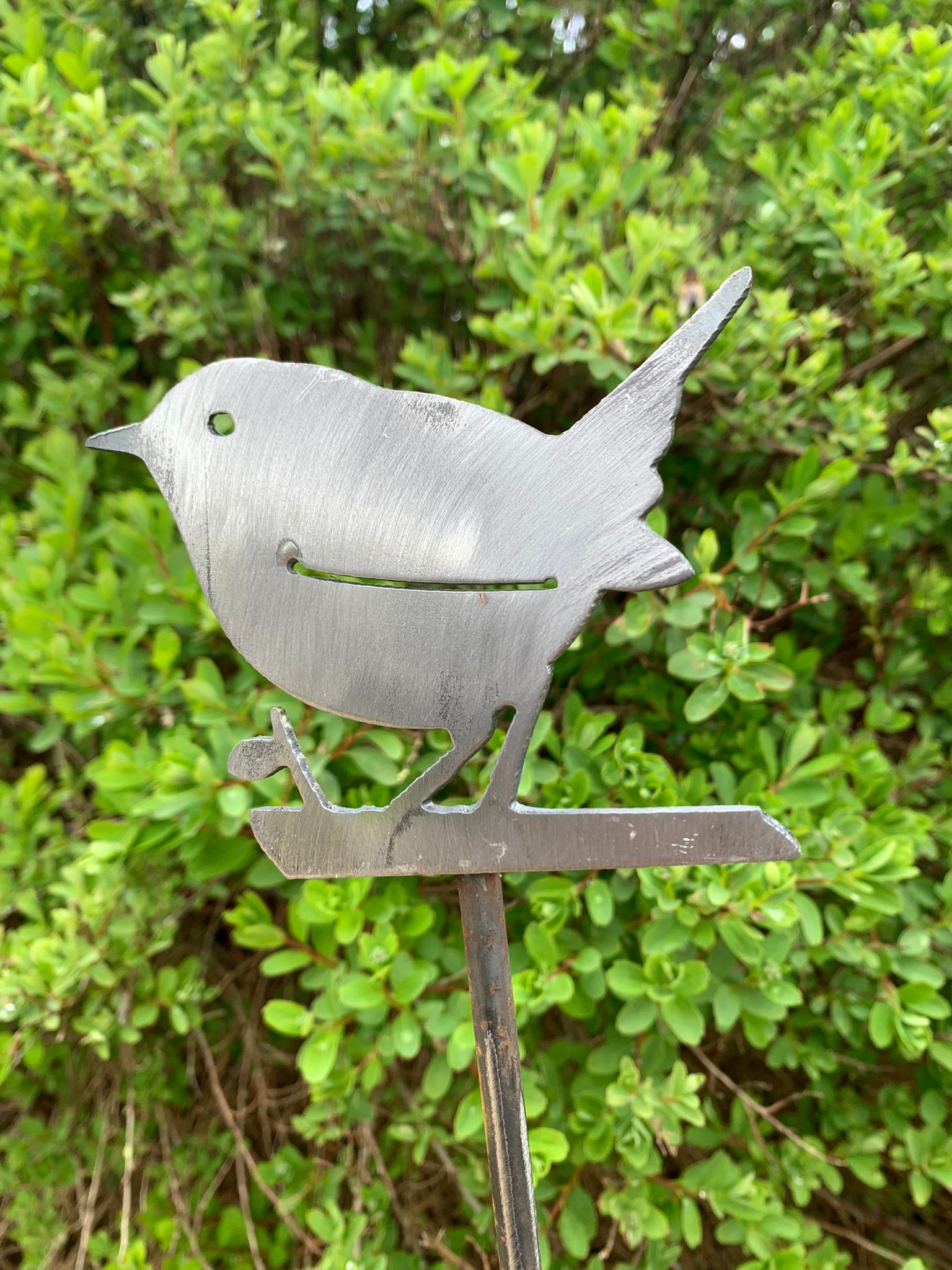 Wren on a stake