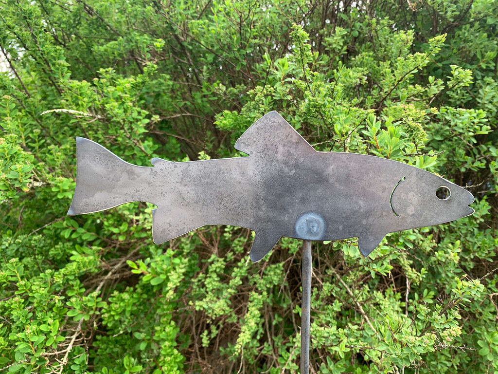 Trout / Fish