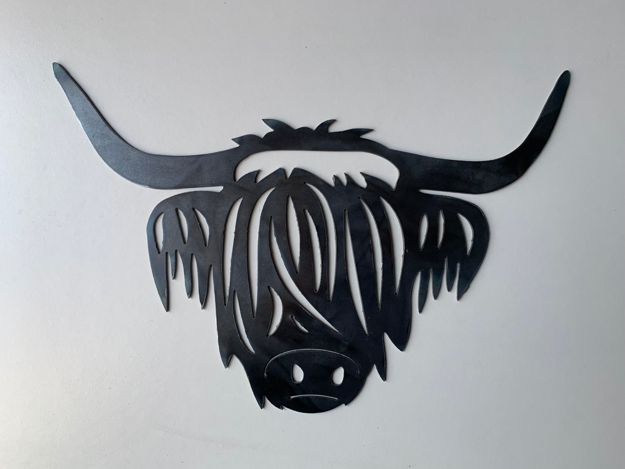 Highland Cow