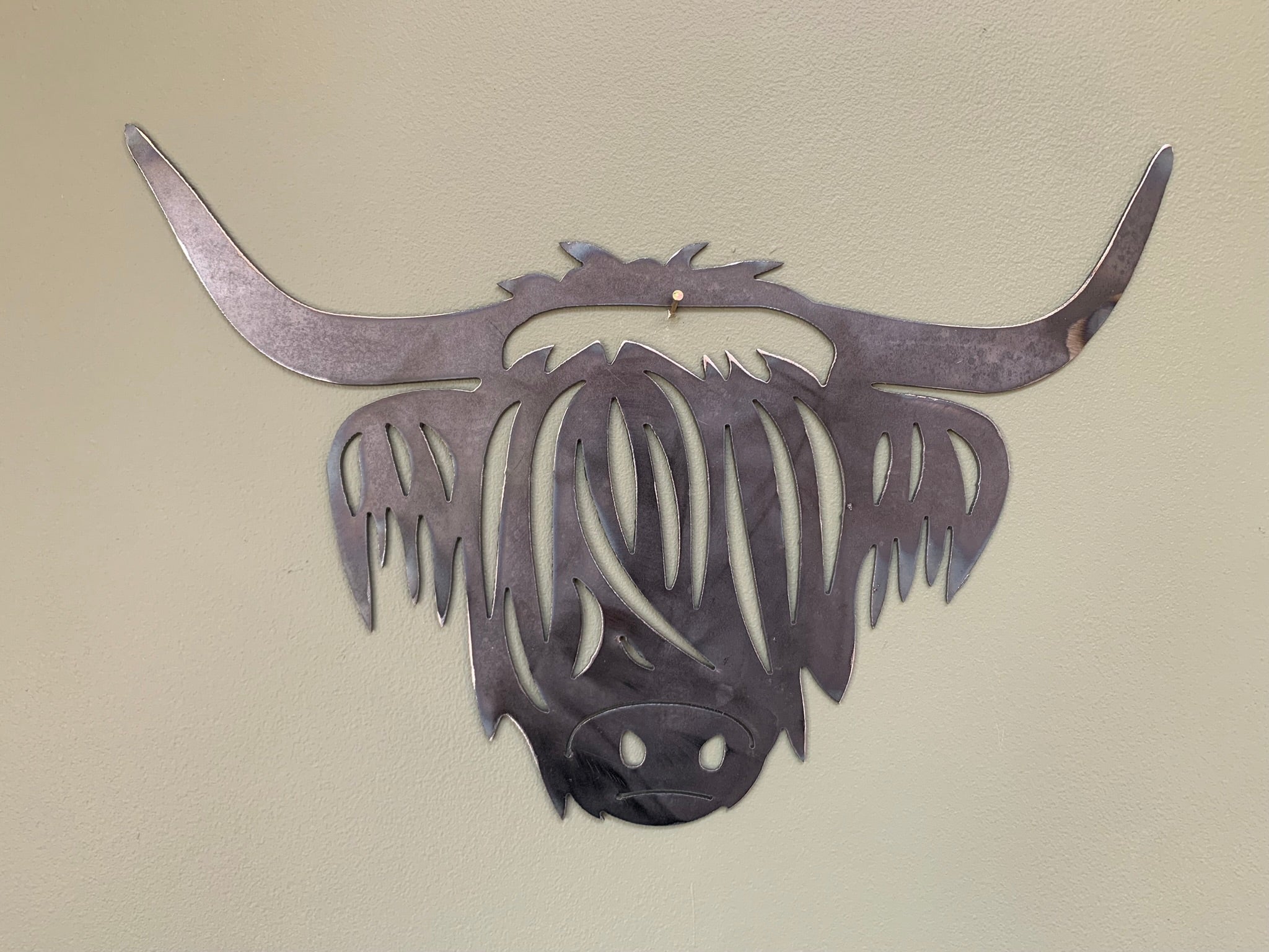 Highland Cow